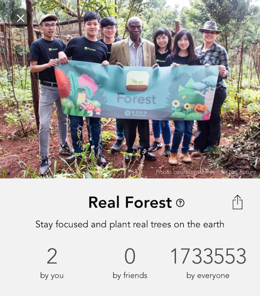 Forest real tree planting